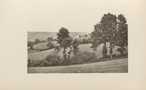 West Zuyland