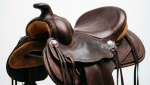 Western Saddle Detail