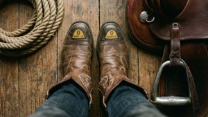 Western Still Life