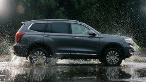 Wet and Wild