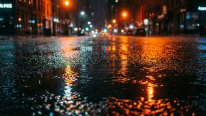 Wet Reflections