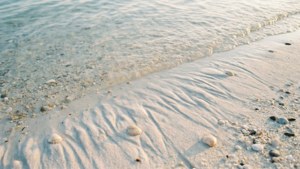 Wet Sand Ripples