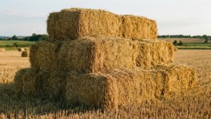 Wheat Bales Stack