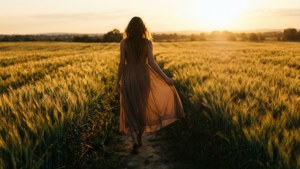 Wheat Field Sunset Walk