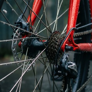 Wheel Details