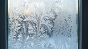 White Fade Frost