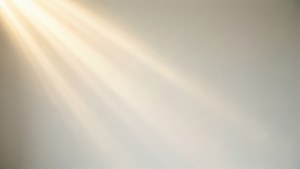 White Fade Light Rays