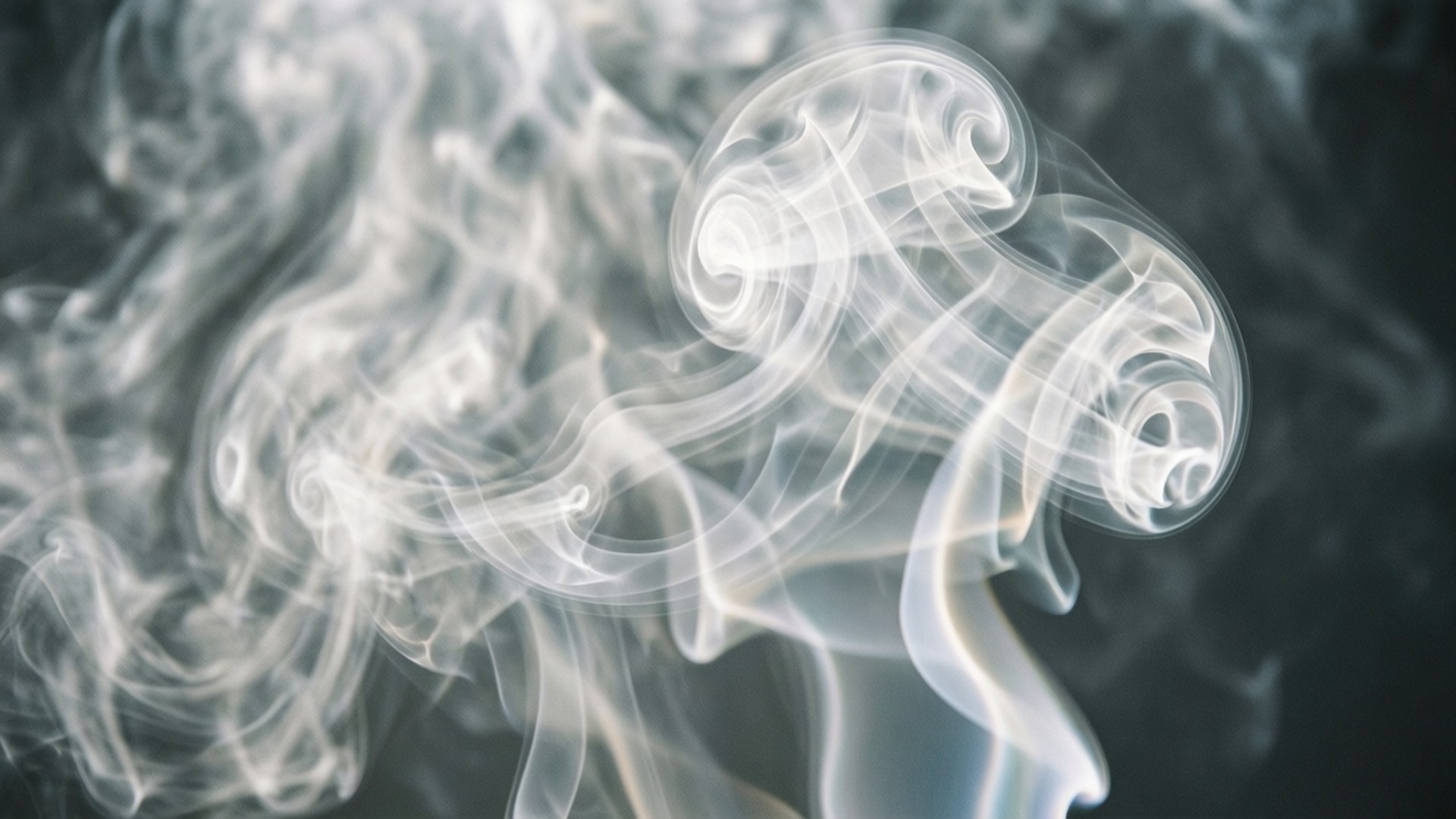 White Fade Smoke by Wallpapers.art Studio