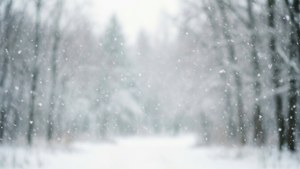 White Fade Snowflakes