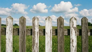 White Fence Field