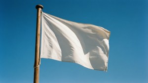 White Flag Blue Sky