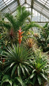 White Hills Exotic Gardens