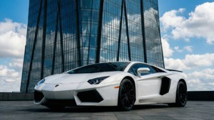 White Lamborghini Urban