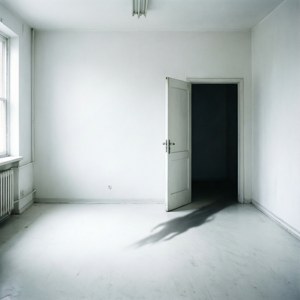 White Room Shadow