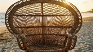 Wicker Peacock Chair Top View