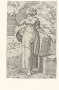 Wijsheid