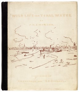 Wild Life on a Tidal Water
