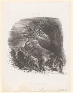 Wild paard