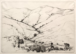Wildcat Canyon