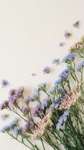 Wildflower Meadow