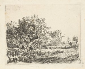Wilgen bij een poel