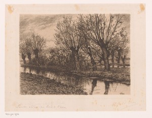 Wilgen langs de oever van een beek
