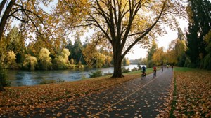 Willamette River Path in Autumn