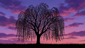 Willow Silhouette Twilight