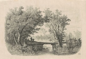 Willows