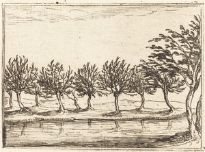 Willows by the Water's Edge