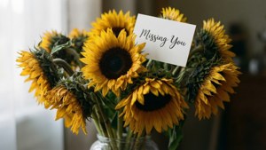 Wilting Sunflowers Card