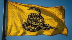 Windblown Gadsden Flag