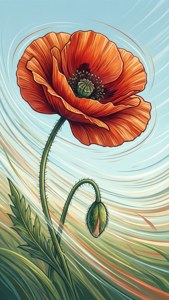 Windblown Poppy