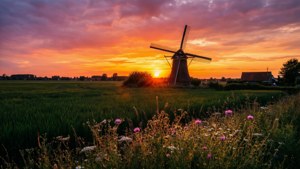 Windmill Sunset