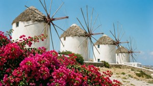 Windmills and Bougainvillea