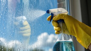 Window Cleaning Action