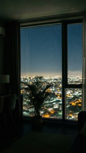Window to the Night