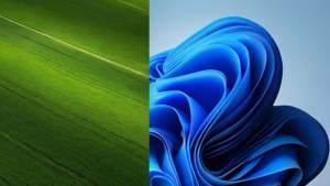 Windows Evolution Split