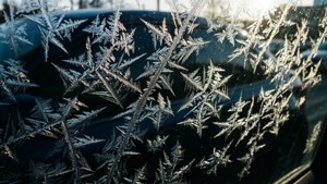 Windshield Frost