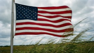 Windy Day Flag