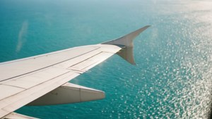 Wingtip Over Waves
