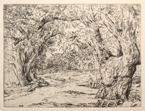 Winnegance Willows