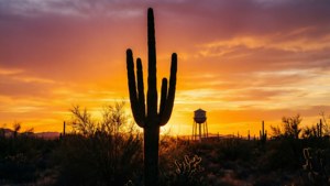 Winslow Desert Sunset