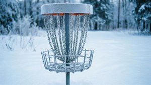 Winter Basket Wonder