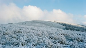 Winter Bliss