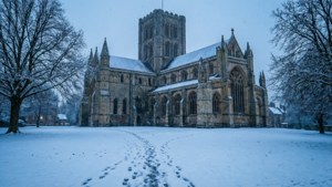 Winter Cathedral Snowfall