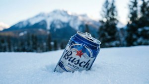 Winter Chill