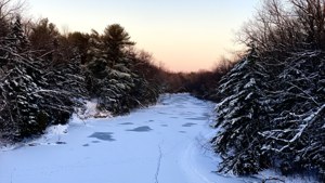 Winter Creek Snow