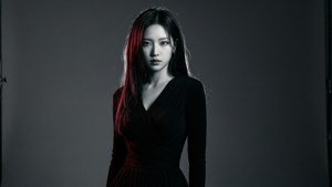 Winter Dark Elegance