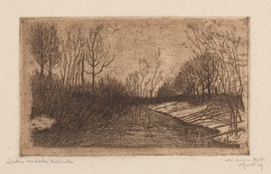 Winter Evening